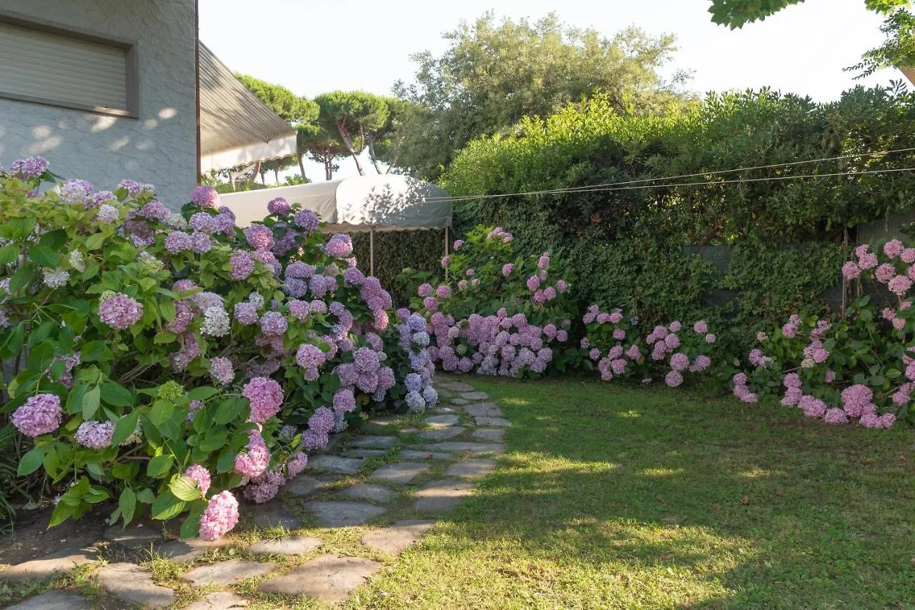 Apartment Holiday Versilia Camaiore