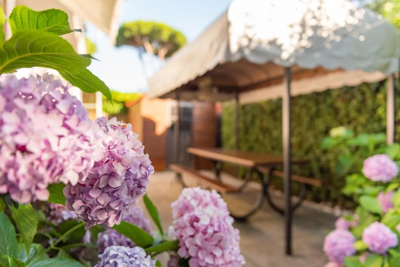 Apartment Holiday Versilia Camaiore